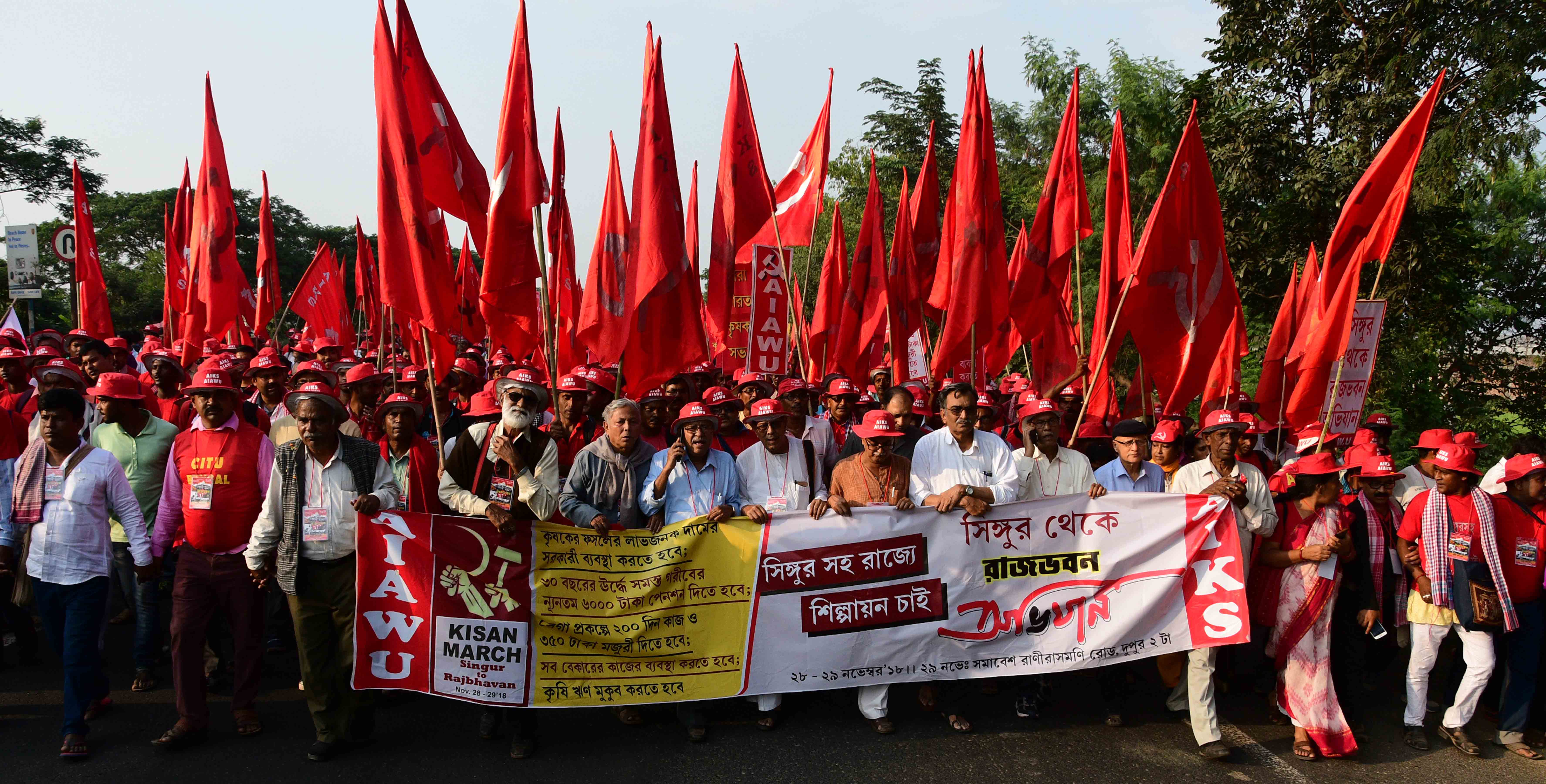 Campaigns & Struggle