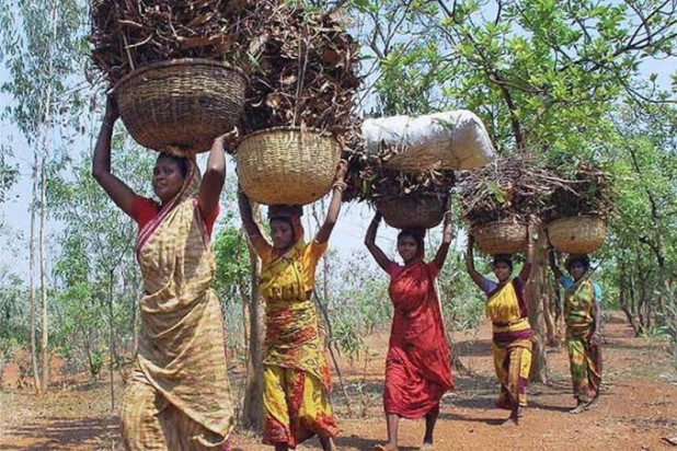 The Way Ahead - Niti Ayog's Report On WB