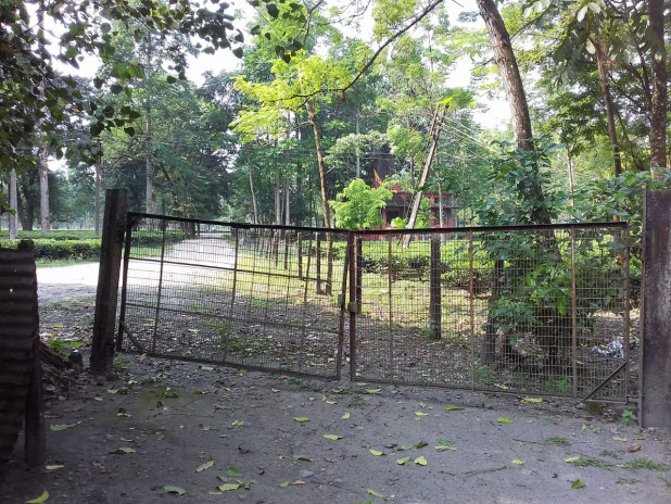 করোনায় থাবায় মাথায় হাত চা শ্রমিকদের