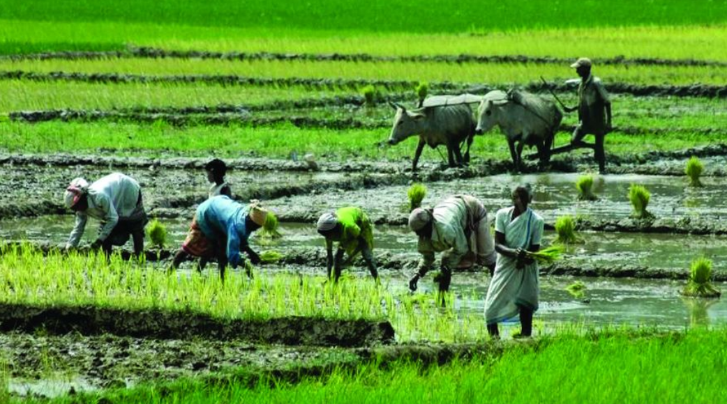 Mamata Govt. Willing To Remmove Bargas