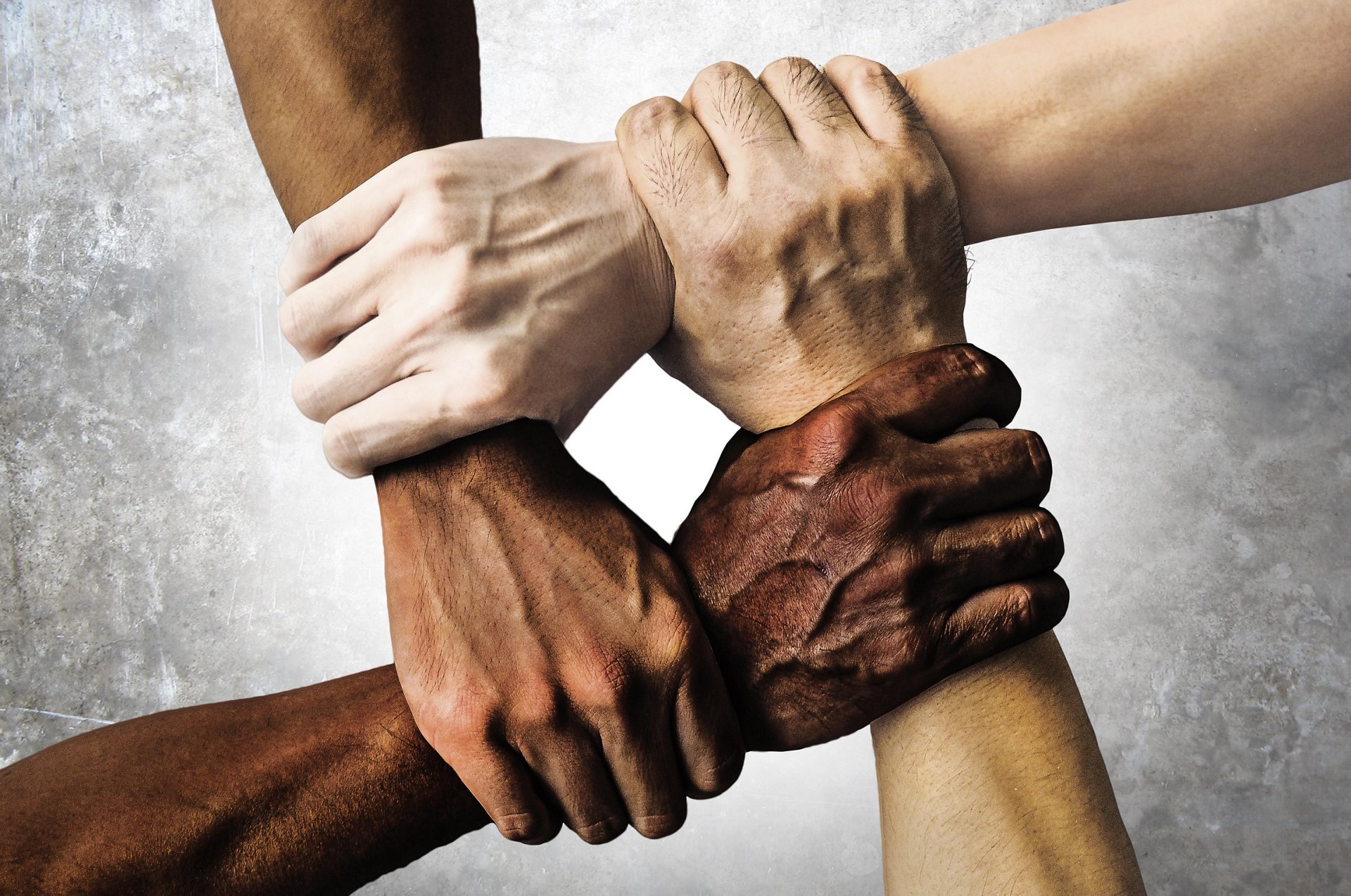 Our Beloveds, Our Fighters: A Drive For The People