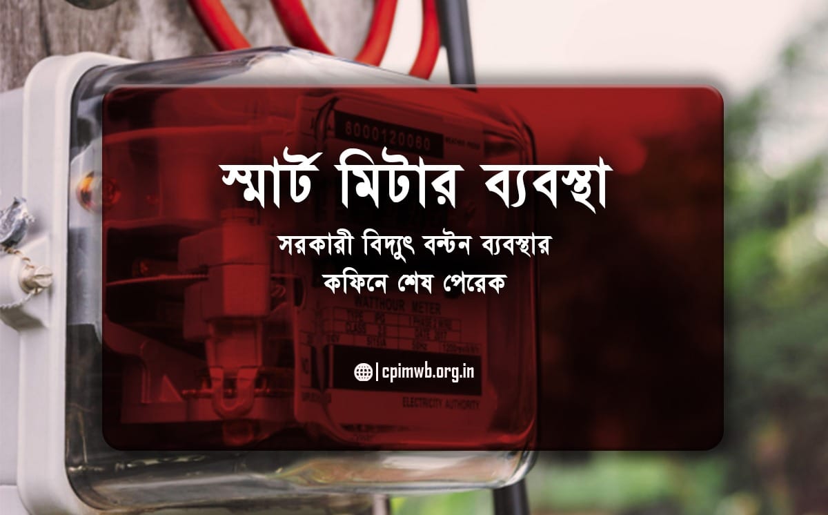 Smart meter system - public electricity distribution system