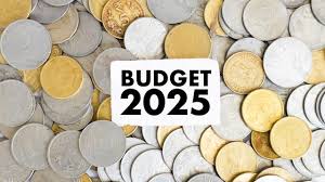 The Union Budget has Ignored the People of the Country.