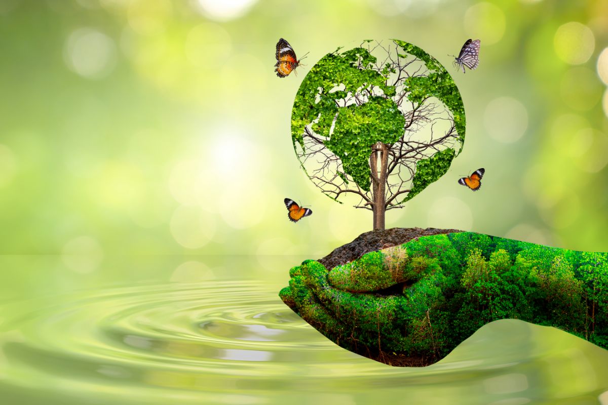 The struggle to protect the environment and Bangla Bachao Yatra